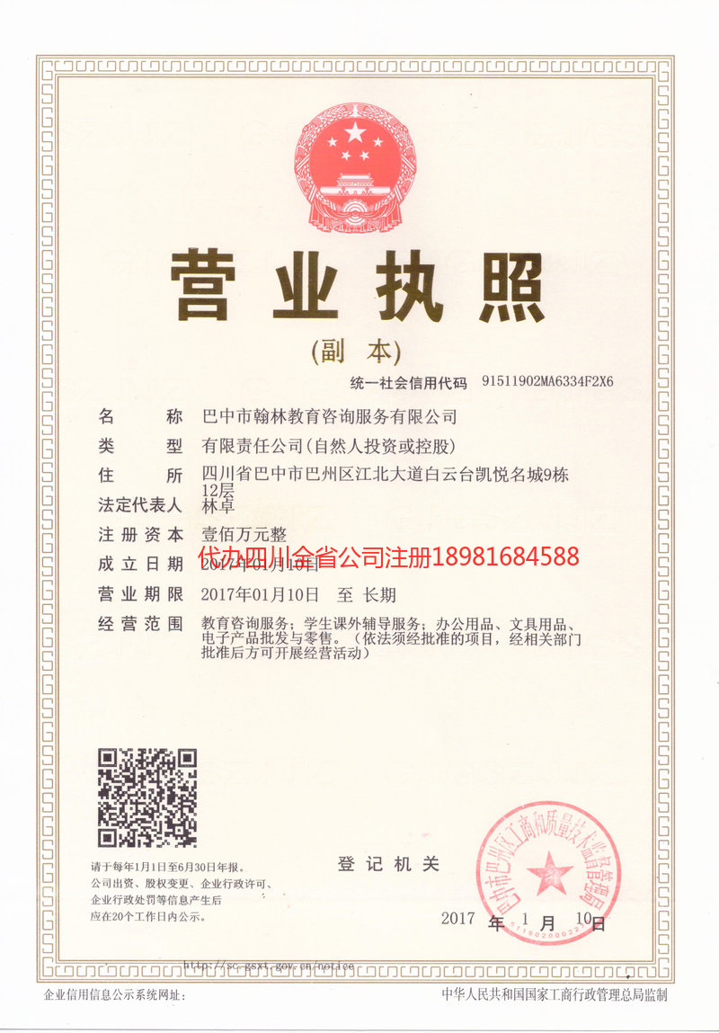 桐城桐城翰林教育咨询服务有限公司