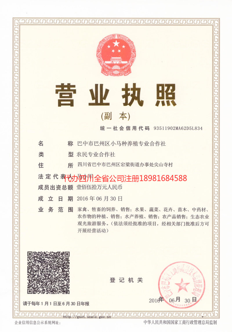 桐城桐城小马种养殖专业合作社